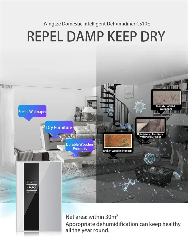 Déshumidificateur et purificateur d'air 2 en 1, absorbeur d'humidité, silencieux, pour chambre à coucher, sous-sol, télécommande, synchronisation, tuyau d'eau externe